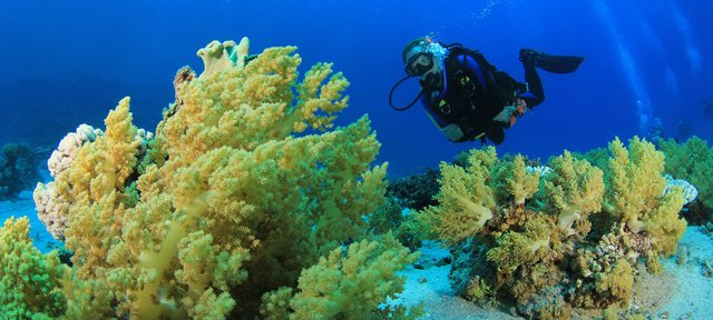 Self-Sufficient Diver