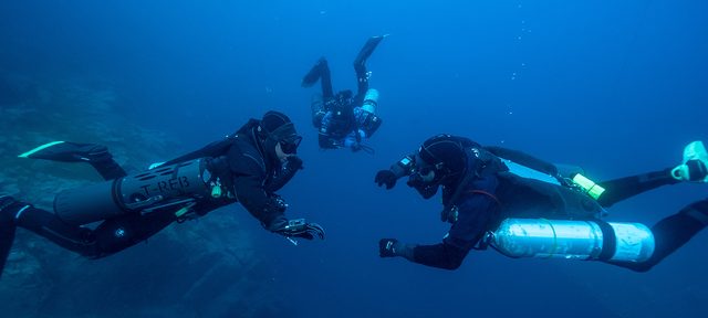 RCCR Essentials Diver