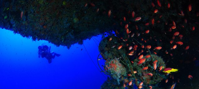 Technical Diver