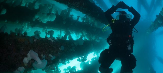 Tek Lite Essentials Diver
